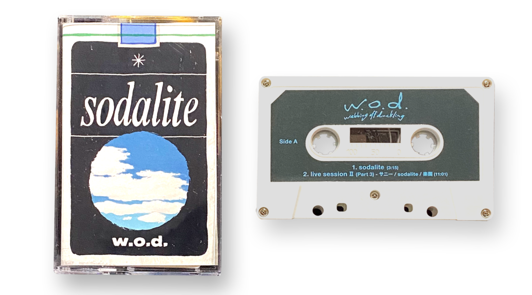 Cassette_sodalite_影あり- 